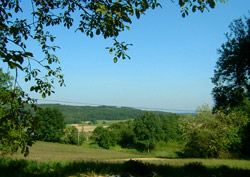 Slovenia for Families - Bodonci Cottage