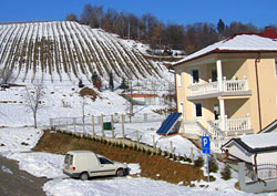 Slovenia for Families - Maribor