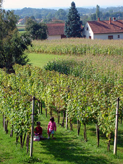 Slovenia for Families - Vane&#X10d;a Cottage